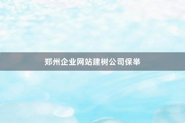 郑州企业网站建树公司保举
