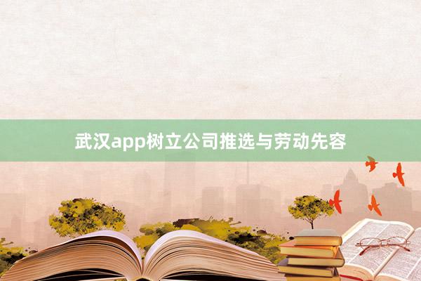 武汉app树立公司推选与劳动先容