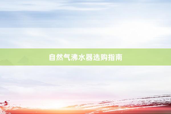 自然气沸水器选购指南